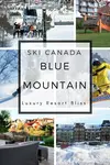 Planning some time away at a Blue Mountain Ski Resort in Canada? Find out which accommodation we've chosen