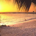 Experience luxury and relaxation at the best adult-only all-inclusive resorts in Aruba. Book now and unwind in paradise. Perfect for couples and solo travelers.