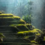 Paradise Found: Uncovering the Best Ubud Resorts for Couples, Singles, Families, and Honeymoons in Bali