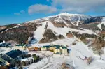 Experience Japan's snowy peaks with all-inclusive ski resorts. Enjoy premium lodging, top-class skiing, classy buffet cuisine, and immersive winter activities.