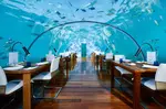 Dive into a Maldives underwater hotel. From the Conrad Maldives' underwater hotel to the alternatives. Immerse yourself in the ocean's embrace