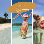 Take your vacation at one of the top 5 Exuma resorts in the Bahamas. Crystal clear water, white sand beaches and unusual swimming wildlife! The perfect spot for a Bahamas resort holiday. 