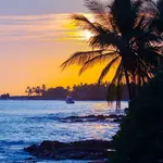 Kona's top all-inclusive resorts. Savor luxury, relish varied cuisine, and revel in Hawaii's mesmerizing beauty. Revel in premium comfort, delectable food