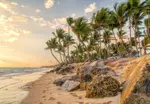All-inclusive adult only resorts in Punta-Cana:  This is a tale of love in paradise, where two hearts beat as one, embarking on an adventure of passion, discovery and pure bliss. 