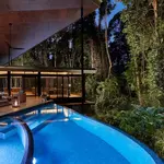Silky Oaks Lodge in Far North Queensland, a unique luxury treehouse experience nestled in the heart of the Daintree Rainforest. 