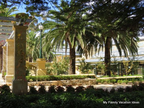 Vineyard in the Barossa Vineyard in the Barossa