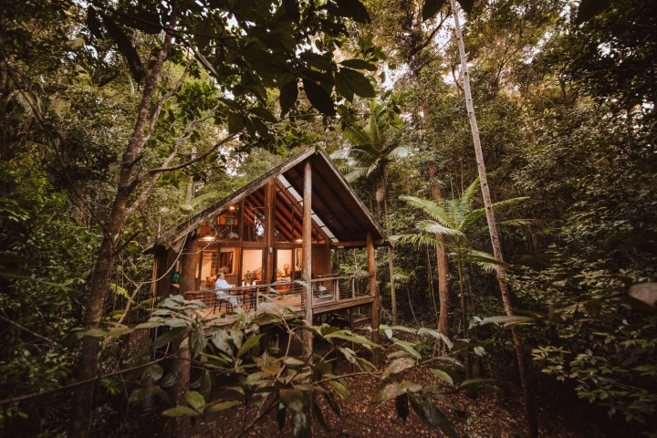 Canopy Treehouse Accommodation In Queensland