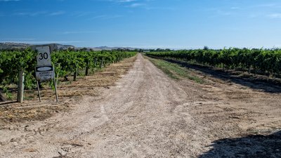 The Barossa Valley J.T. Ratcliff Flickr CC