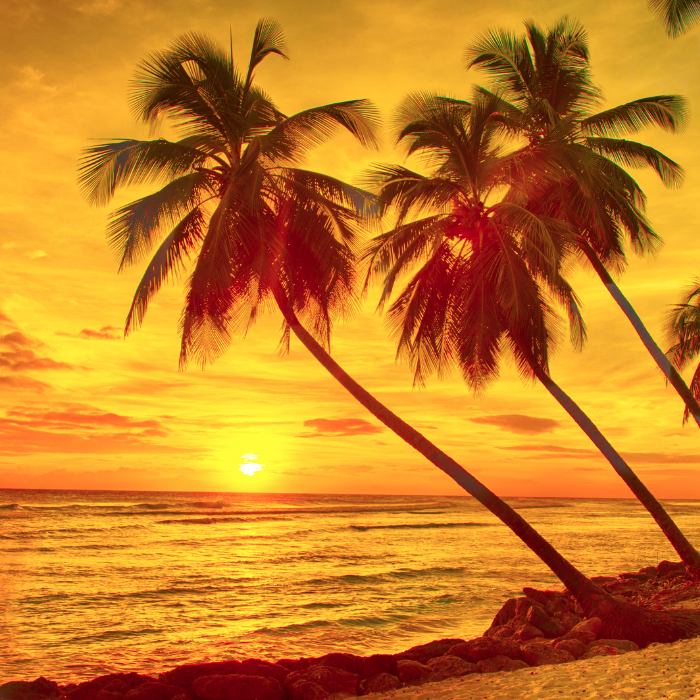 best-barbados-five-star-destination-beaches