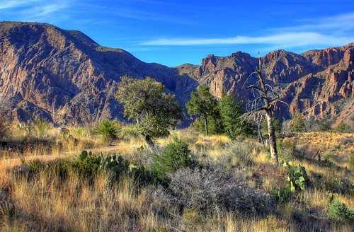Big Bend National Park