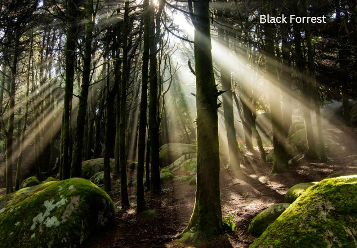 black-forrest-germany-all-inclusive-vacations