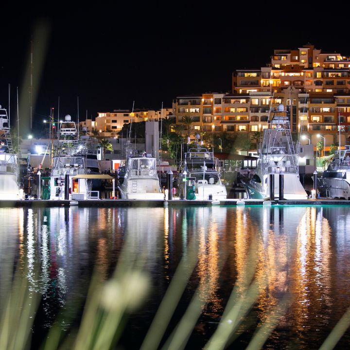 Cabo at Night Cabo at Night