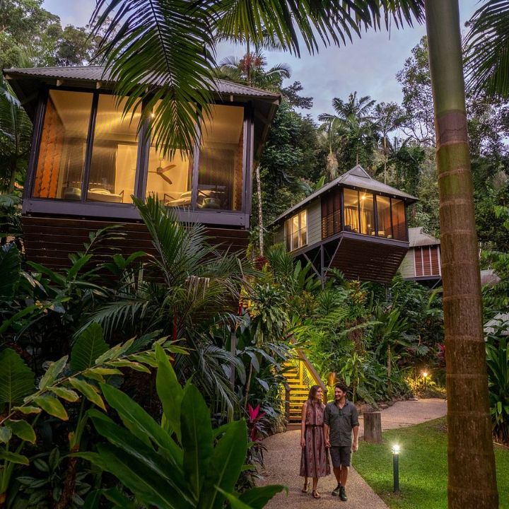 Daintree Ecolodge Daintree Ecolodge
