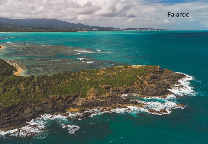 Fajardo Fajardo