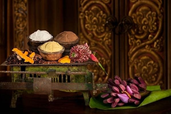 Five elements wellness retreat. Five elements wellness retreat.