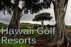 Banyan trees... ewwhite FLICKR CC