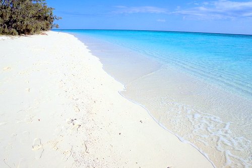 Herron Island Herron Island