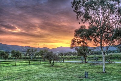 Pokolbin sunset HDR 2 Shishberg FLICKR CC