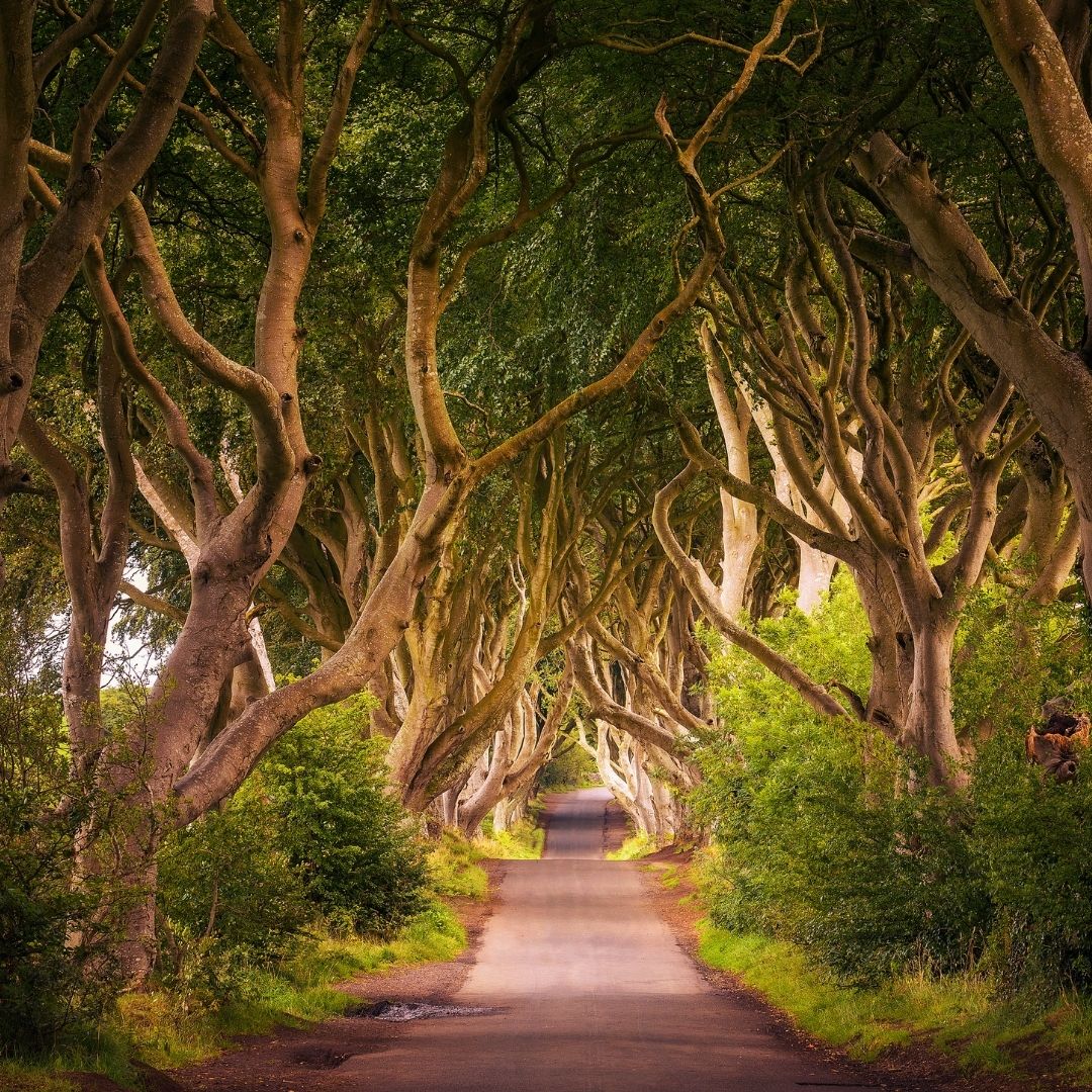 Ireland