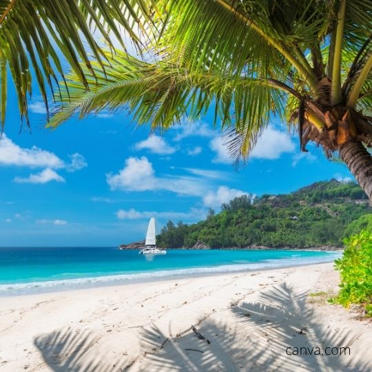 All inclusive Jamaica Vacations with Airfares All inclusive Jamaica Vacations with Airfares