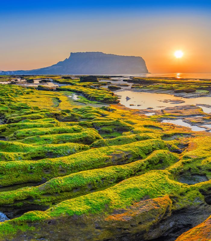 Jeju Landscape Jeju Landscape