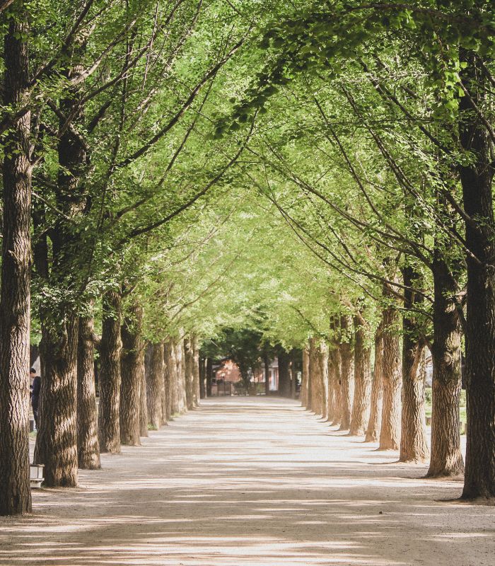 jeju parks jeju parks