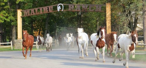 Malibu Dude Ranch, Poconos Luxury All Inclusive Ranch