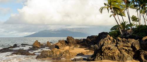 Image- Wikipedia Creative Commons