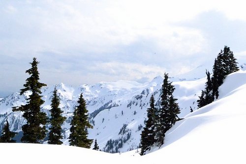 Mt Baker ski resort