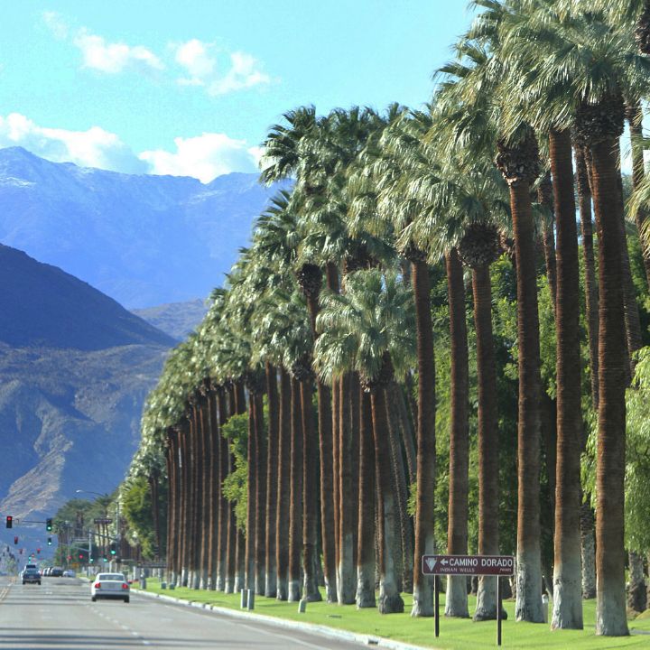 Palm Springs All Inclusive Getaway