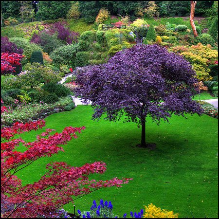 The Butchart Gardens