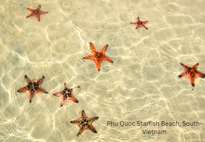 Phu Quoc Island: Located in the Gulf of Thailand phu-quoc-starfish-beach-south-vietnam
