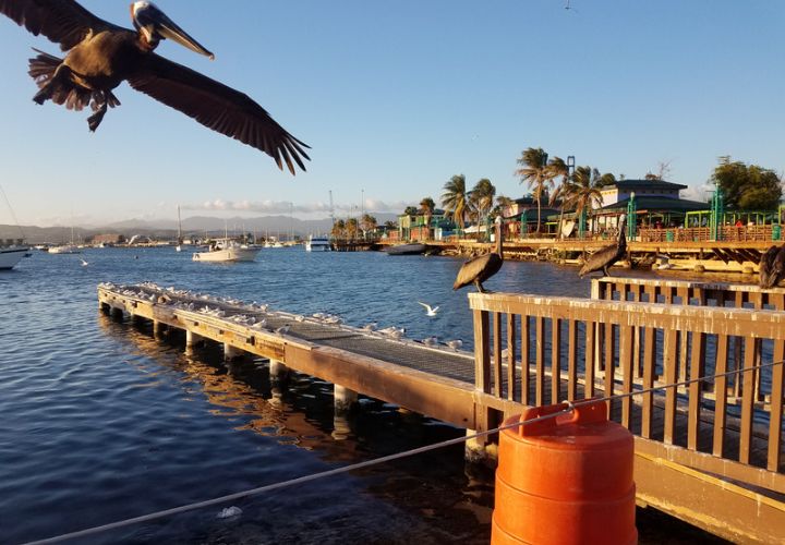 Are there any All Inclusive Resorts in Ponce apart from the Hilton Ponce Golf & Casino Resort?