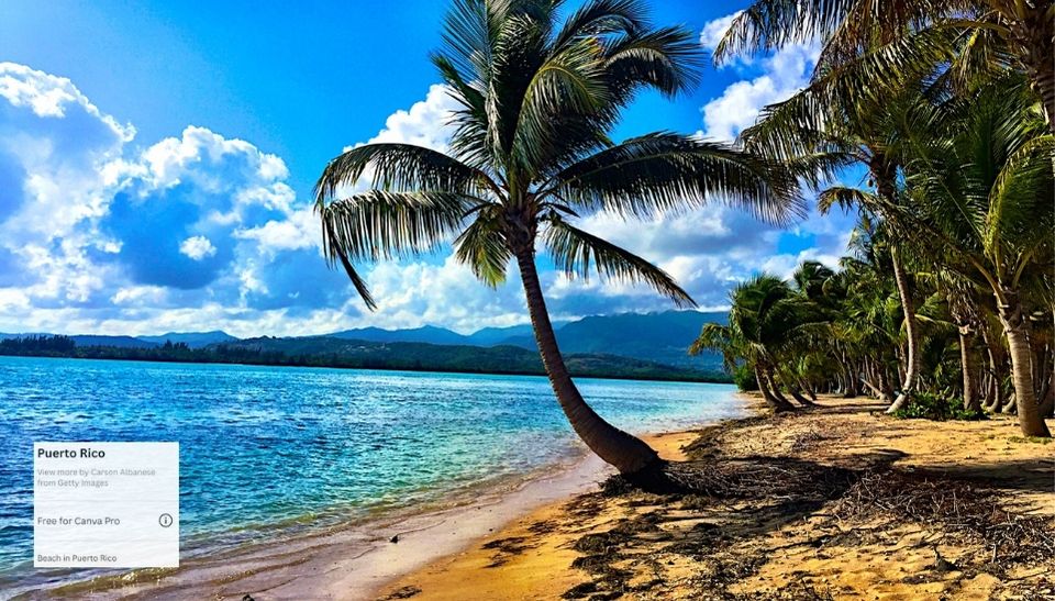 This guide will discuss the 7 best all ionclusive hotels in Puerto Rico to make your honeymon as magical as your wedding day. 