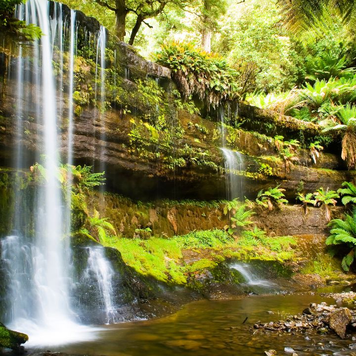 Rainforest Waterfal in Tasmainia