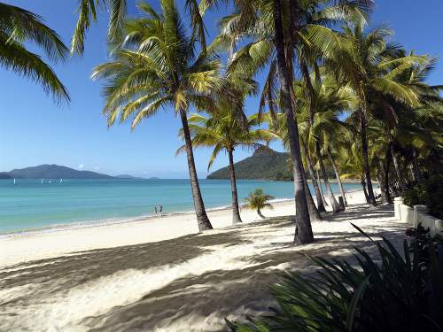 Hamilton Island Resorts