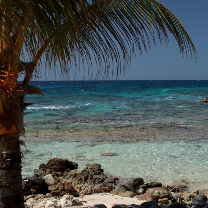 roatan-all-inclusive-resorts-beach. roatan-all-inclusive-resorts-beach.