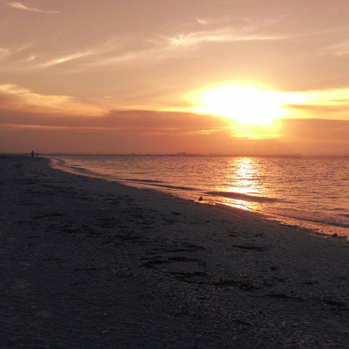 Sanibel Island resorts on the beachfornt Vs Sanibel Island All Inclusive resorts? Check out which ones we recommend and why! Sanibel Island resorts on the beach fornt