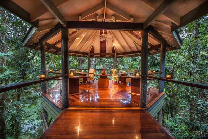 silky-oaks-lodge-daintree-treehousejpg.jpg