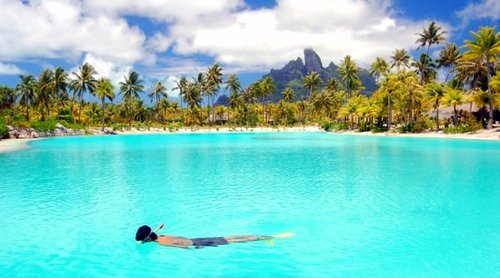 Snorkeling Bora Bora
