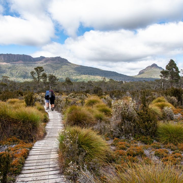 Trail on Cradle MOuntain