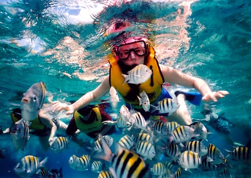 Snorkeling, Caribbean Family Resorts
