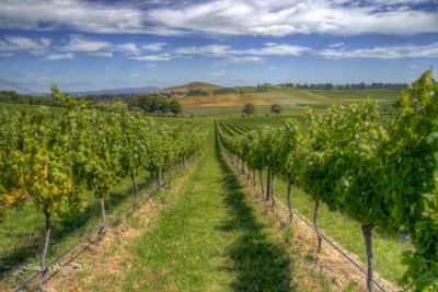 Yarra Valley, VIC, AU james smyth FLICKR CC